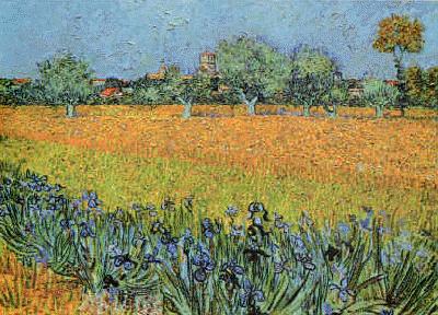 Vincent Van Gogh View of Arles With Iris oil painting picture